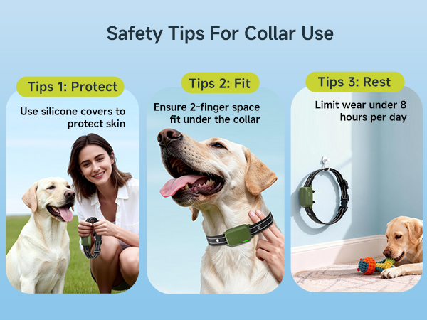 training collars for large dogs