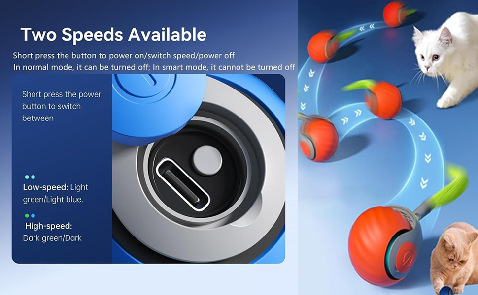 Interactive Cat Toys for Indoor Cat