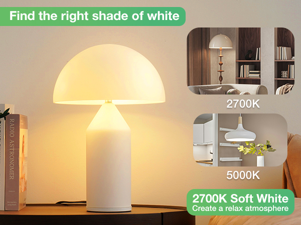 A19 2700K soft white light bulbs