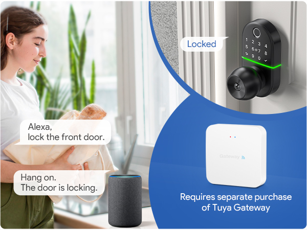 voice control