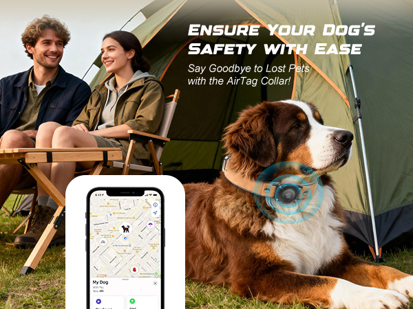 apple tag dog collar