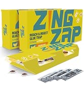 ZingZap Roach Glue Trap Banana Scent 13-Ct Twin Pack | Sticky Cockroach Traps with Natural Bait ...