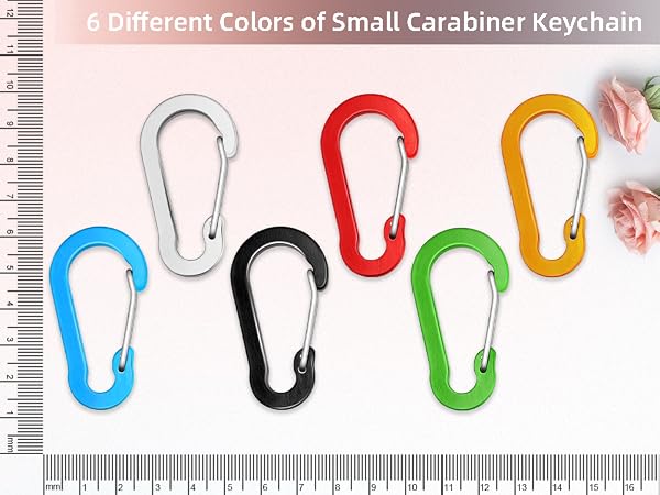 Small Carabiner Clip