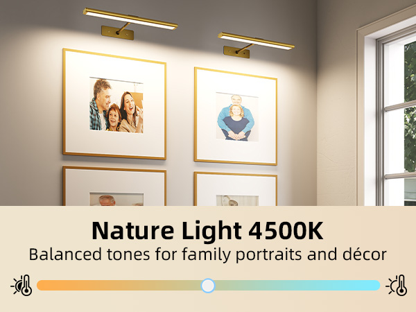 wall lights for pictures