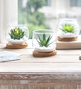 fake plant