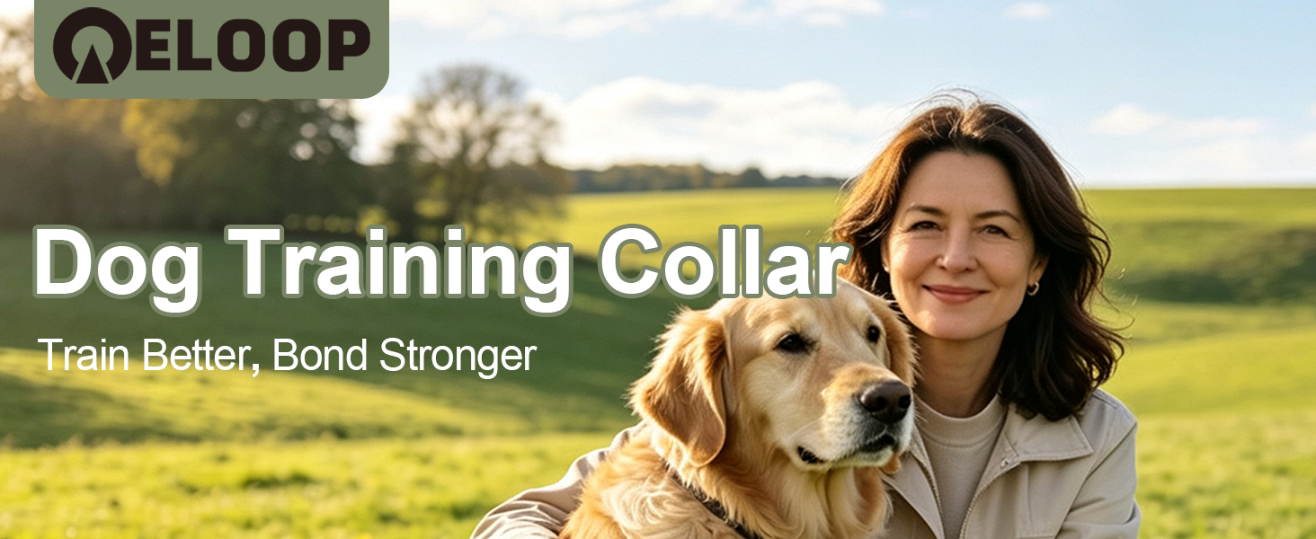 dog collar-1