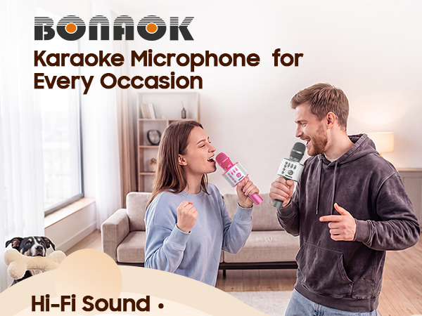 karaoke microphone