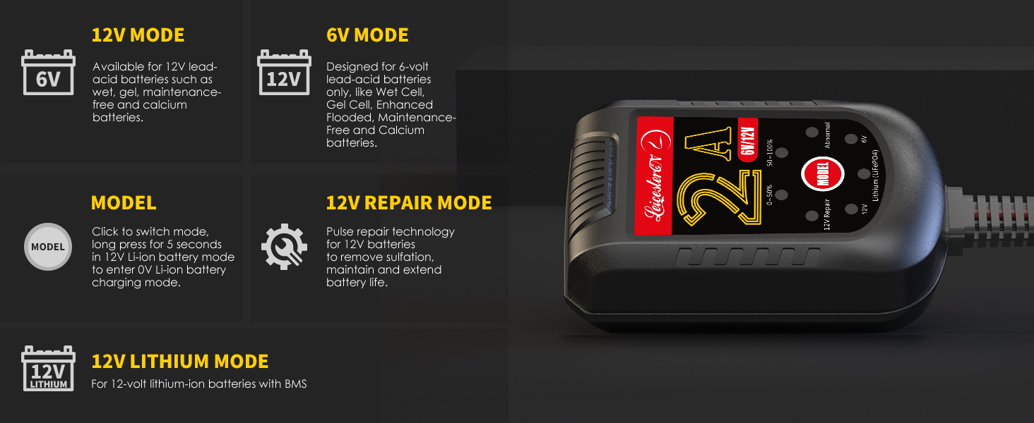 12 volt battery charger