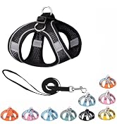Harness Small Sized Dog, No-Pull Puppy Vest with Leash Set, Breathable Mesh Reflective Pet Harnes...