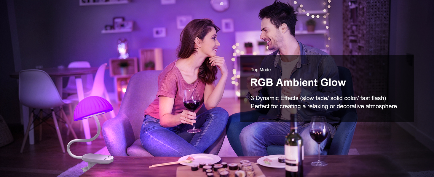 flexible gooseneck reading light