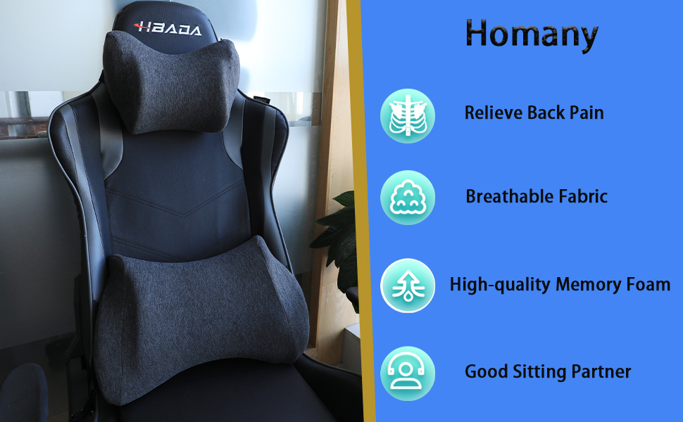 Lumbar Support Pillow and Car Headrest Pillow Kit
