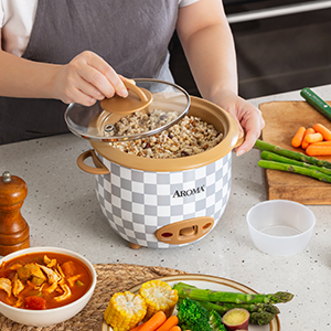 Aplus_Modules_ARC-813CGC_5_Verstile