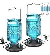 Tegarbed 20oz Glass Hummingbird Feeder for Outdoors Hanging, Bird Nectar Feeder with 4 Bee Guard ...