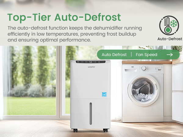 dehumidifier for bedroom