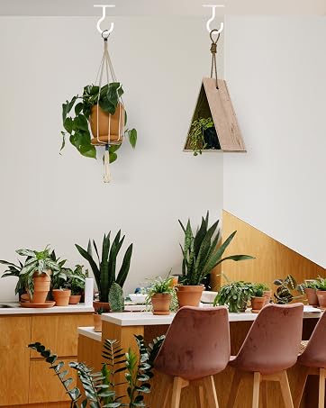 ceiling hooks