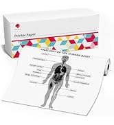 Phomemo A4 Size 8.27