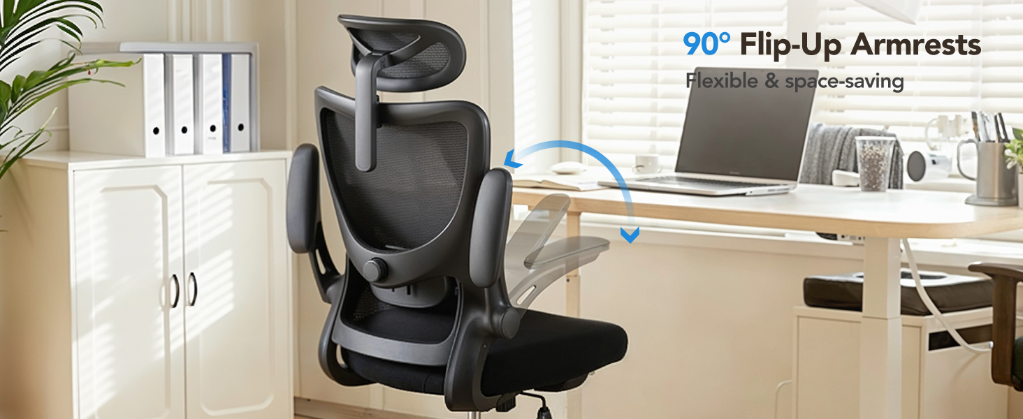 Ergonomic Office Chair
