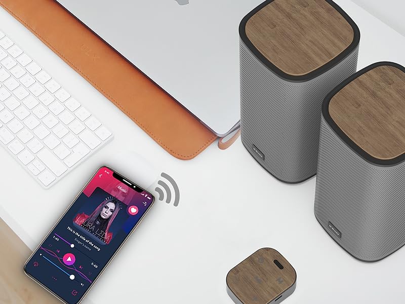computer speakers