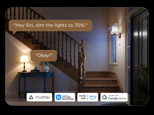 Govee smart edison bulbs ST19 voice control