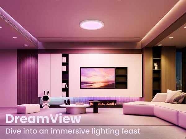 Smart Ceiling Light