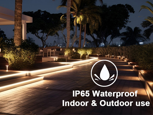 IP65