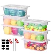 9 PCS Food Pan with Lids-[NSF Certified] [Hot&amp;Cold Resistant] 1/4 Size&amp;4 Inch Translucent Food St...