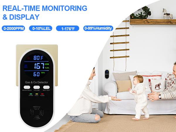 Natural gas detector and carbon monoxide detectors