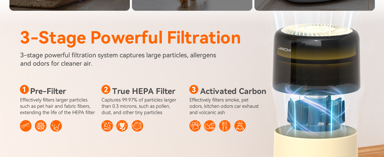 pet air purifiers for home