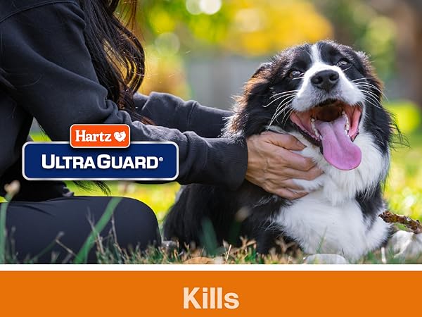 Hartz UltraGuard Dog Base Collars