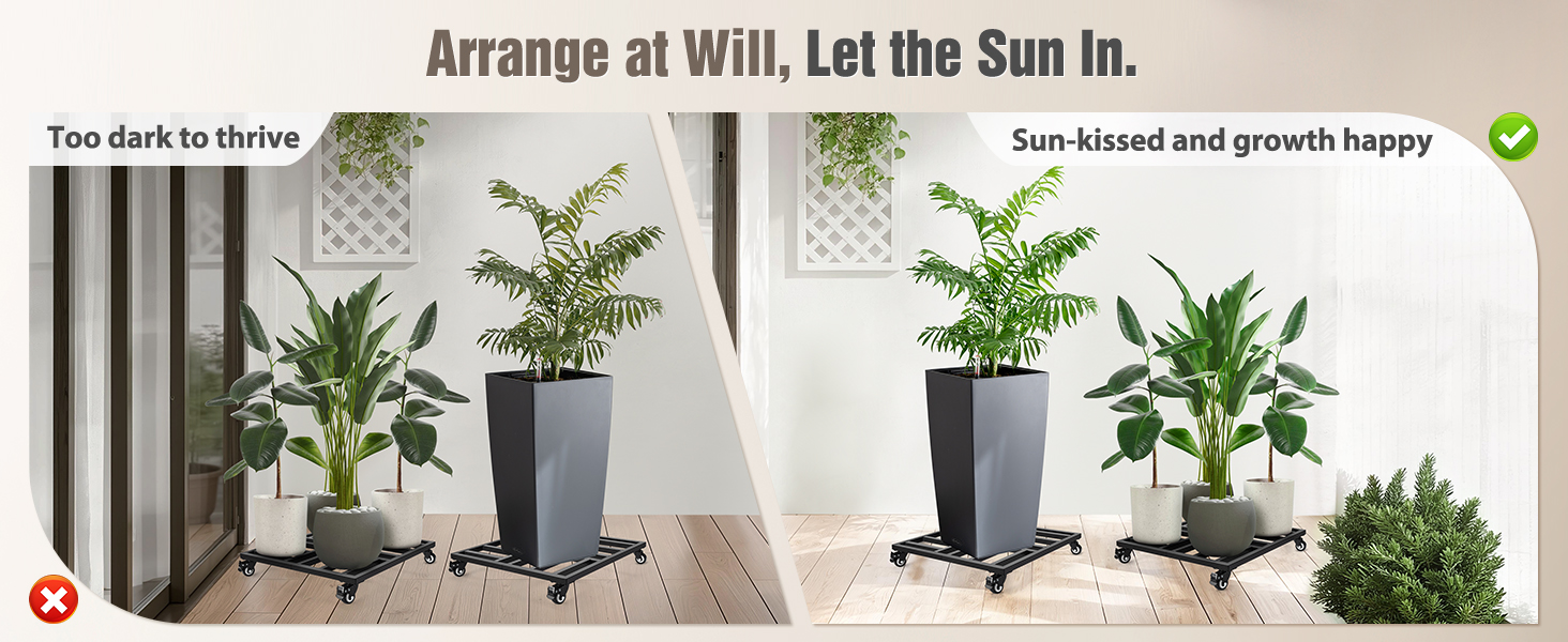 plant caddy