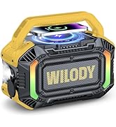 Wilody Speakers Bluetooth Wireless, 100W Loud Outdoor Speaker with Bass, IPX7 Waterproof Floatabl...