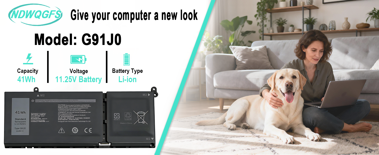 G91J0 battery