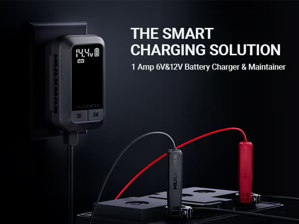 Battery Maintainer