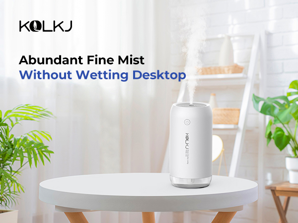 Mini Portable Humidifier