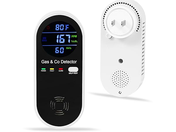 gas &amp;amp;amp;amp; carbon monoxide detector
