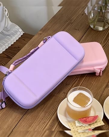 switch 2 carrying case