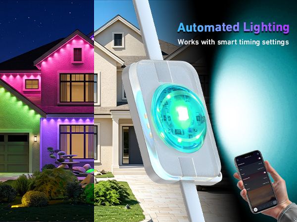 Permanent Outdoor Lights