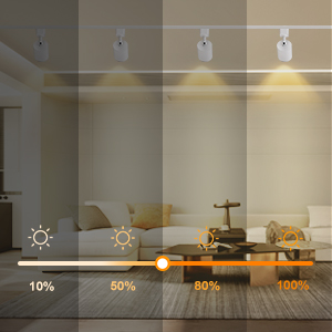 H type track lighting heads dimmable