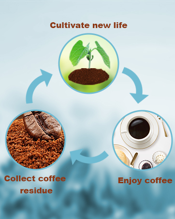 coffee capsules_230ml_3