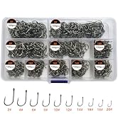 AMHDV 300Pcs/ 500Pcs/ 1000Pcs Small Fishing Hooks, 10 Different Sizes Tiny Fish Hook Set for Fres...