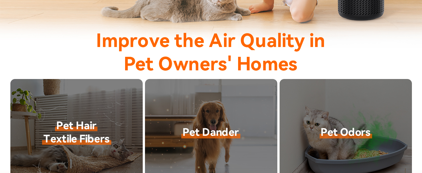 air purifier for home