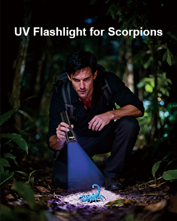 uv flashlight for scorpions