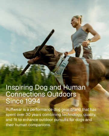 Dog and human outdoors running in the park