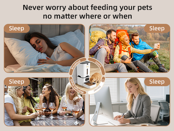 timed cat food feeder