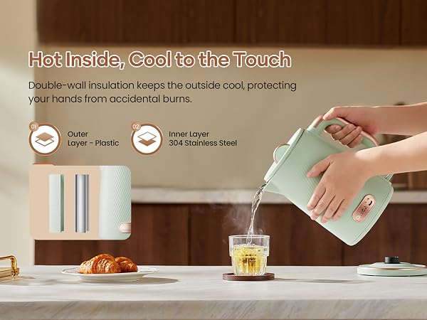 OLEGA Electric Kettle