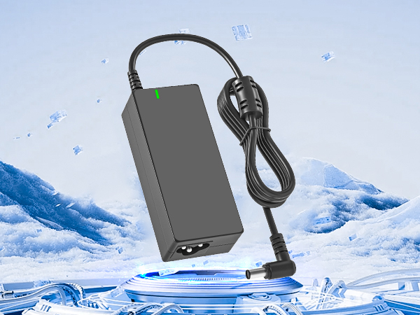 dc 19v power cord compatible with lg monitor