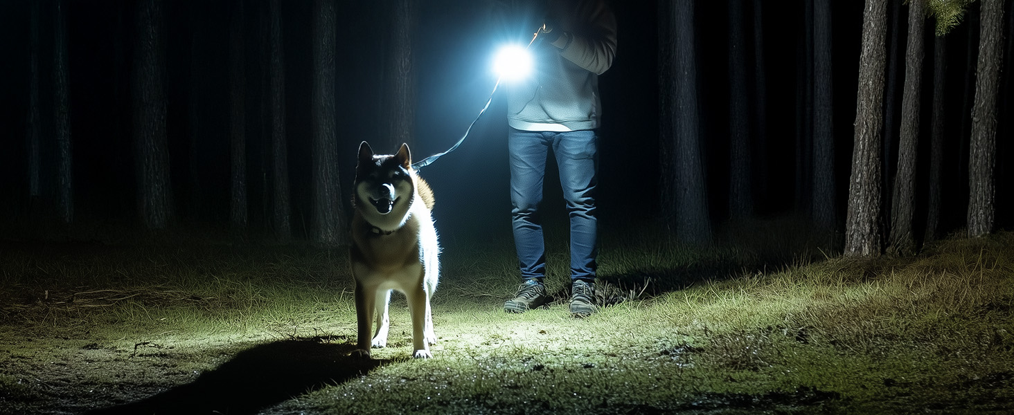 handheld flashlights