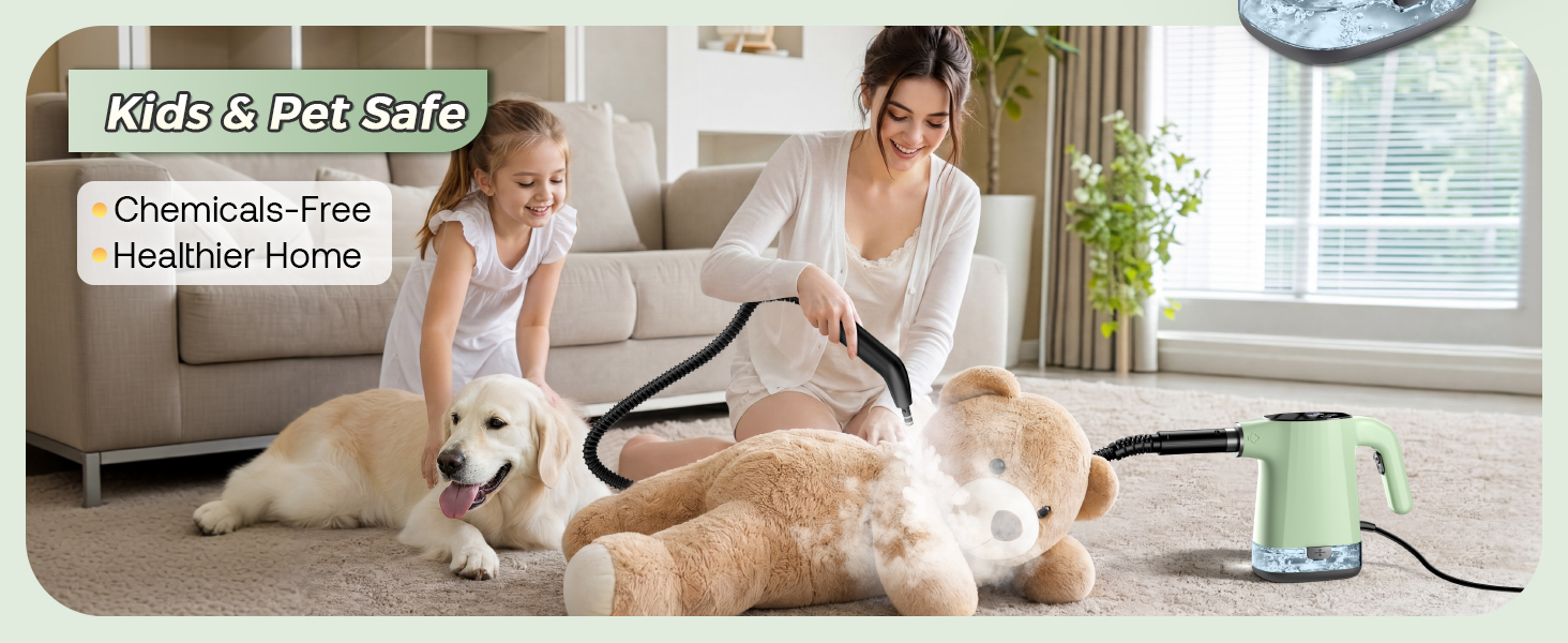 steam cleaner for home