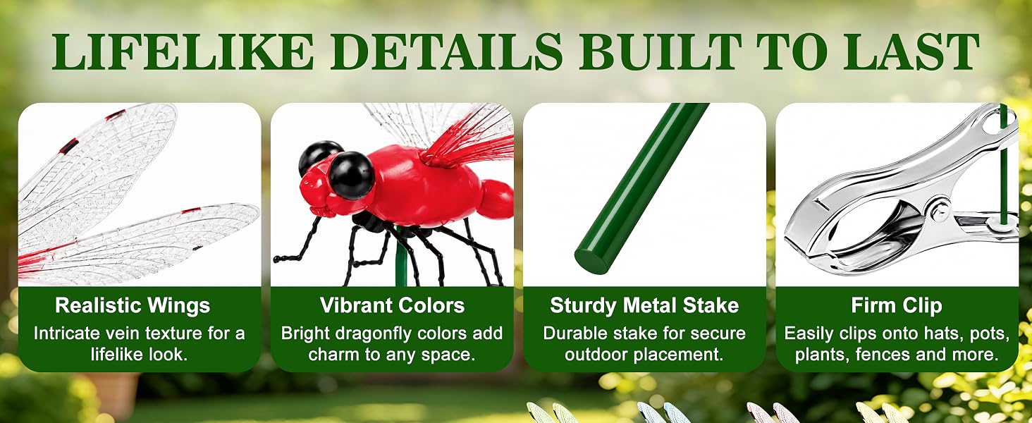 dragonflies to keep bugs away