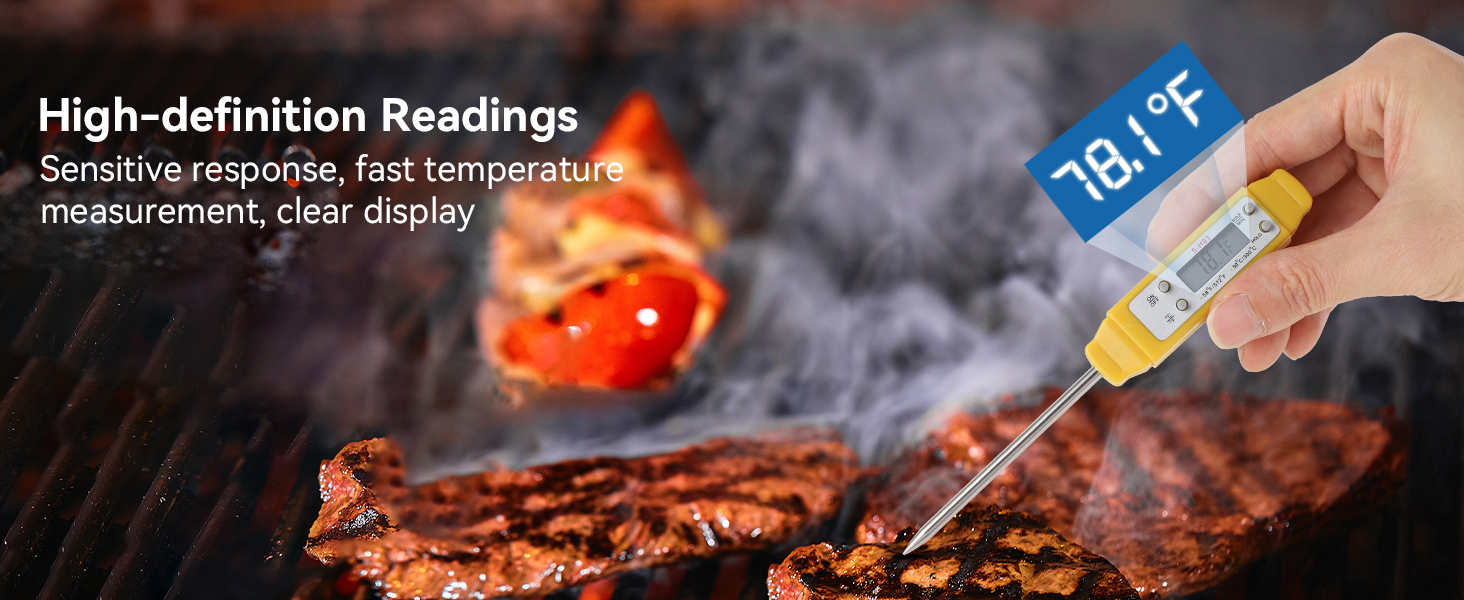 food thermometer for cooking